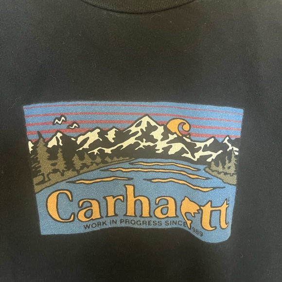 Carhartt (Patagonia) spoof Mountain Graphic Sweatshirt - Picture 1 of 4